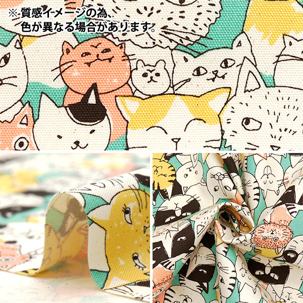 数量5から】 生地 『オックス ニャンコミックス ブルー 850536-1-2