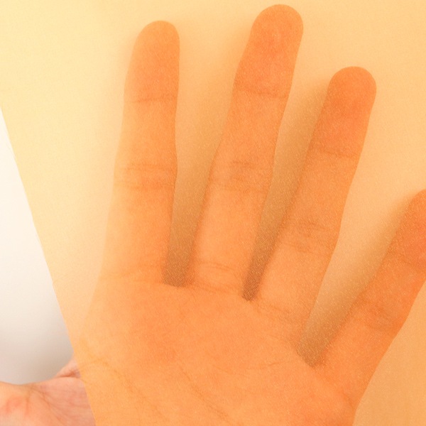 �ڿ���5����� ���� �إݥꥨ���ƥ륪�����󥸡� P-122-49��