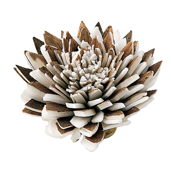 ドライフラワー 『ソーラージニア 中 ナチュラルホワイト 32642-000