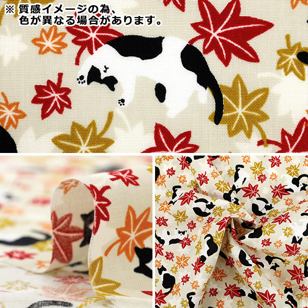 数量5から】 生地 『シーチング ハチワレ猫紅葉 レッド YZ55902