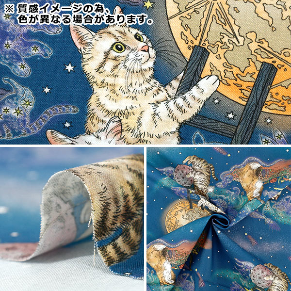 数量5から】 生地 『365CAT.ART シーチング 月あかりの猫 おとぎの国の