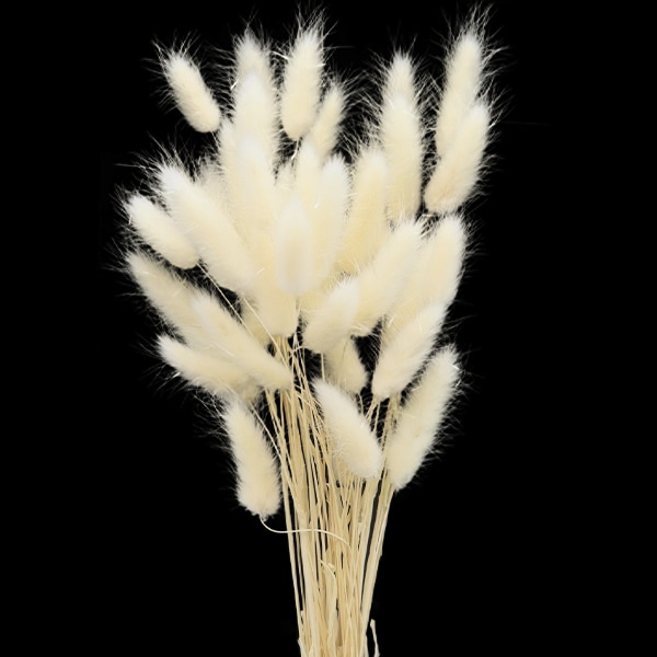 ドライフラワー 『ブーケピース・ショート BP002-009』 フラワー