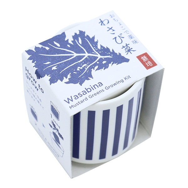 家庭菜園 『おちょこで薬味栽培セット わさび菜』 フラワー,フラワー