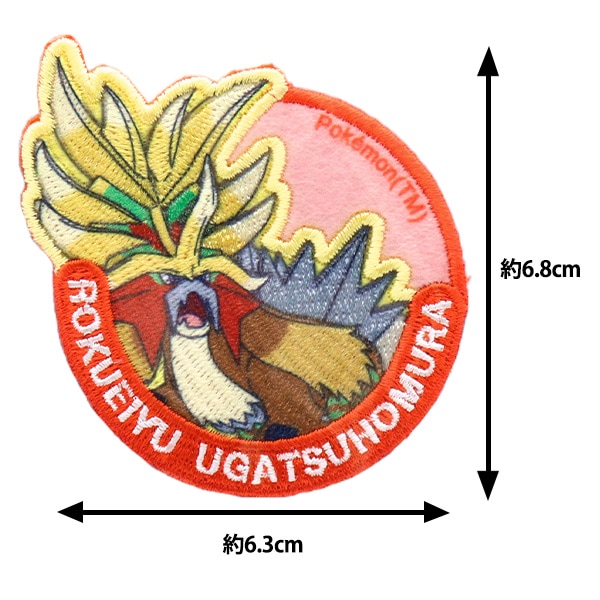 ポケモンワッペン12枚 2_000000169463.jpg?1749020837