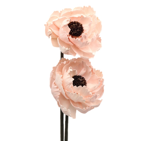 ドライフラワー 『ソーラーシャクヤク シルキーピンク 32390-160