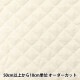 �ڿ���5����� ���� �إ������󥰥���ƥ��� ΢���Ϥʤ� ���꡼��١����� QS-TC-00CB��