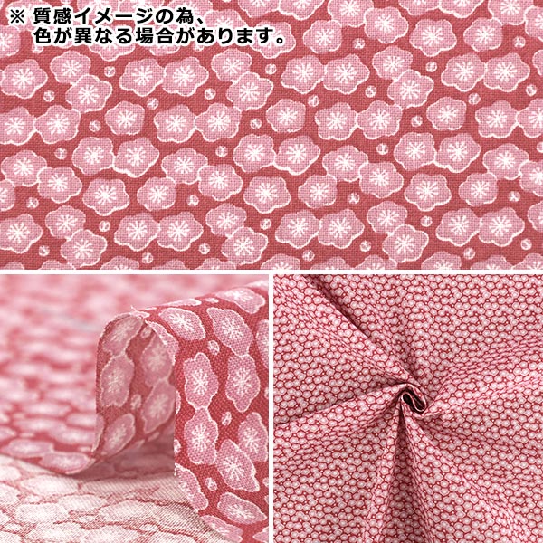 数量5から】 生地 『広巾 シーチング KOMON 梅 ピンク YZCP-006-PK