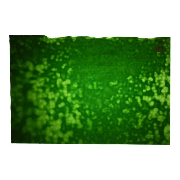 ヤタガラス、まとめ買い ステンドグラス 『ヤカゲニー UG-4000S』 工芸,ステンドグラス・七宝