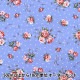 �ڿ���5����� ���� �إ��å��� ���饷�������� �ե��֡��� �֥롼 CMOF-54BL��