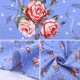 �ڿ���5����� ���� �إ��å��� ���饷�������� �ե��֡��� �֥롼 CMOF-54BL��