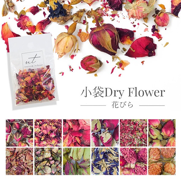 レジン材料 『小袋ドライフラワー 花びら PT-6』 nt エヌティー ビーズ