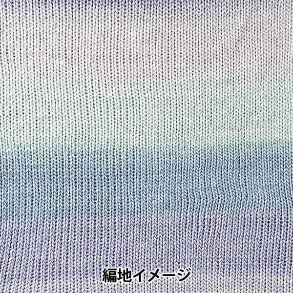 秋冬毛糸 『MONA (モナ) 24102番色』 World Festa ワールドフェスタ