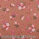 �ڿ���5����� ���� �إ��å��� ���饷�������� �ե��֡��� �֥饦�� CMOF-54BR��