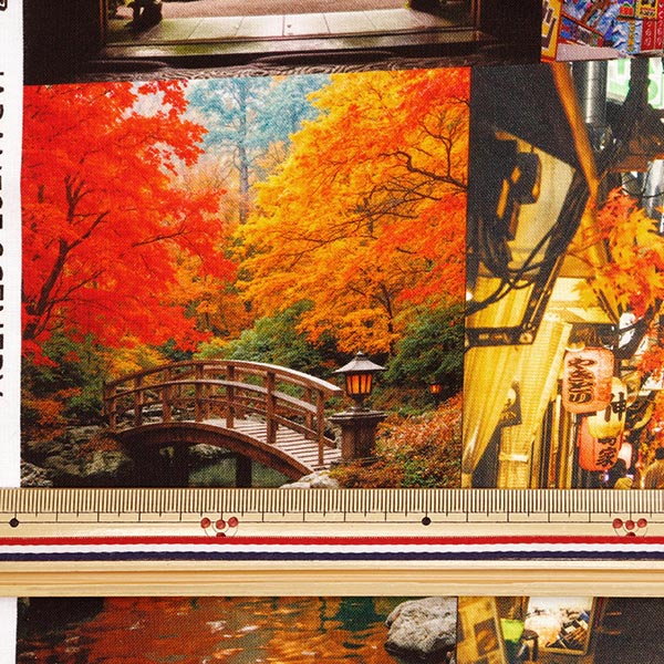 生地見シーチング 数量5から】 生地 『シーチング インクジェットプリント 日本の風景
