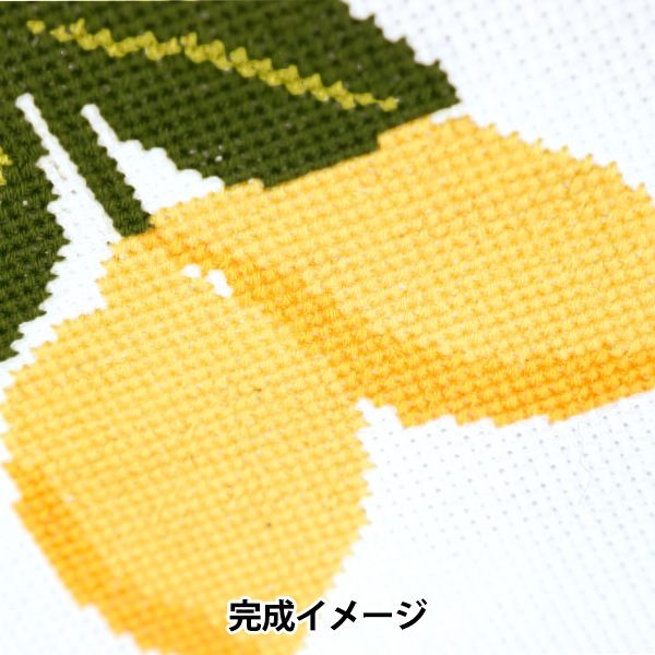 動画付き】 刺しゅうキット 『Enjoy Craft クロスステッチ刺繍