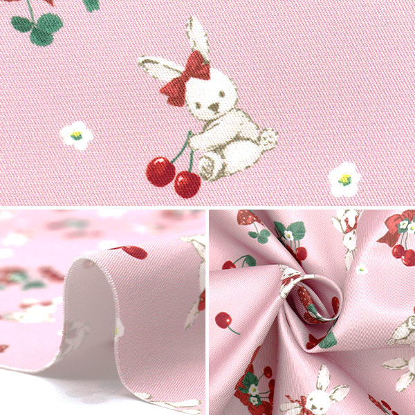 CCS 23干支 momoko 卯」発売 | Information | PetWORKs