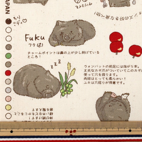 数量5から】 生地 『オックス ウォンバット キナリ AP62901-1A』 生地