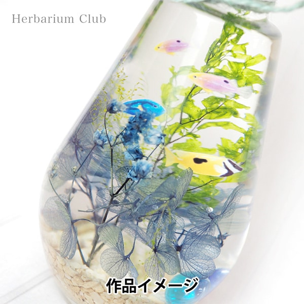 ハーバリウム用品 『ハーバリウムクラブ 熱帯魚2 HR-NTG-201