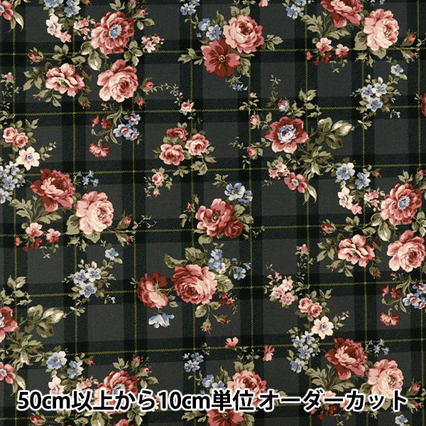 数量5から】 生地 『オックス Retro school 虹 YKA-29040-1C』 KOKKA
