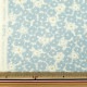 �ڿ���5����� ���� �إ�åץ�ץ��� �ߥ˥ե� ���å��� KTS7167-D�� COTTON KOBAYASHI ���åȥ󤳤Ф䤷 ��������