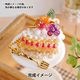 ڥӡۥӡå إĥ㡼3 ǥ졼󥱡å No.52 MIYUKI ߥ業