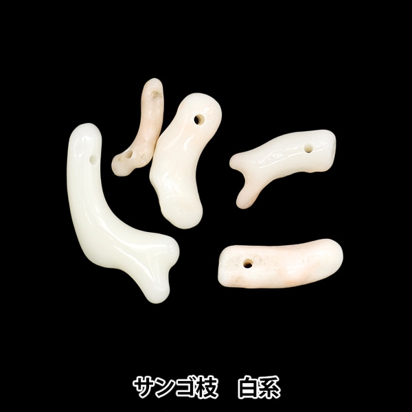 アクセサリー素材 『サンゴ枝 白系』 ビーズ,パックビーズ,天然石