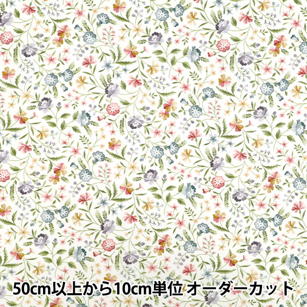 ��Хƥ� ���ӥ󡦥��ߥ꡼