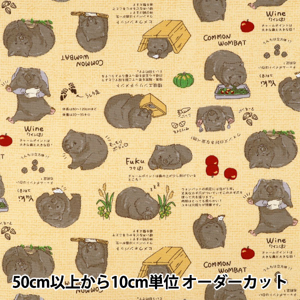 数量5から】 生地 『オックス ウォンバット キナリ AP62901-1A』 生地