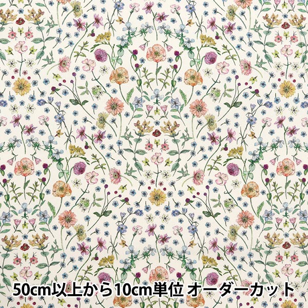 Liberty リバティー SEQUENCE 168センチパウダー インビス Liberty