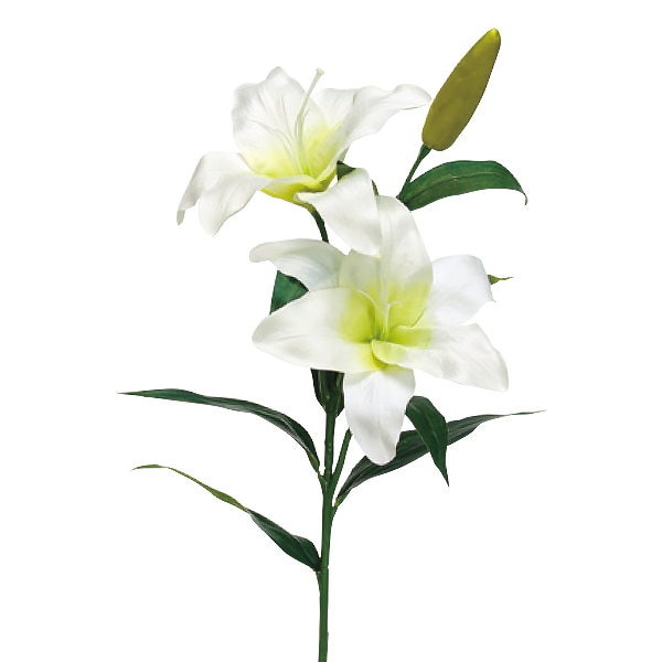 White goldカサブランカスワッグ50㎝ White goldカサブランカスワッグ50㎝