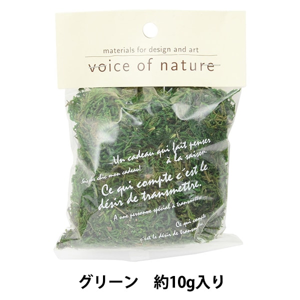 ドライフラワー 『FM 山ゴケ グリーン 80115』 フラワー,ドライ