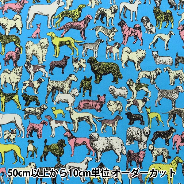 リバティベストインショウ　入学入園　3点セット リバティベストインショウ 入学入園 3点セット リバティベストイン