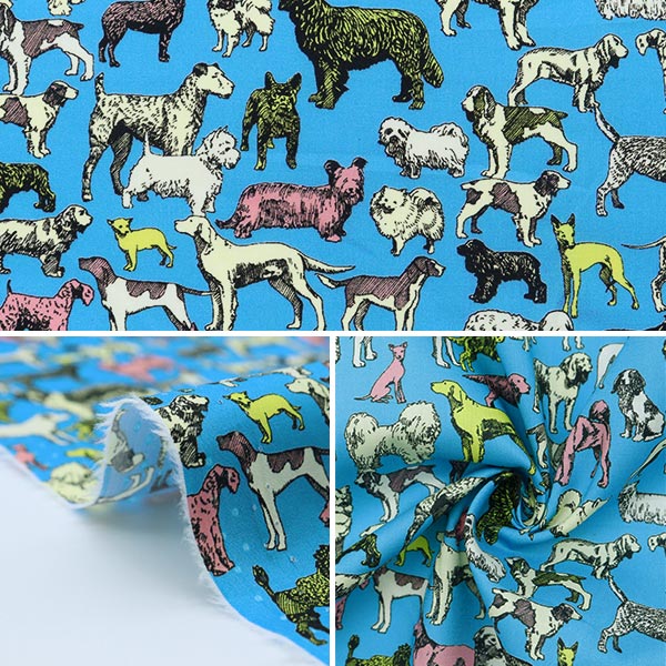 遊戯王 PSA 10 御三家　ホログラフィック 青眼の亜白龍 PSA10 ホロ ホログラフィックレゴーストレア 【公式通販】