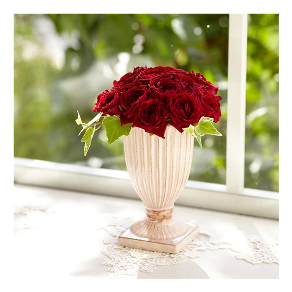 アレンジベース 『femi-cla(フェミ クラ) ホワイト 120-229-100