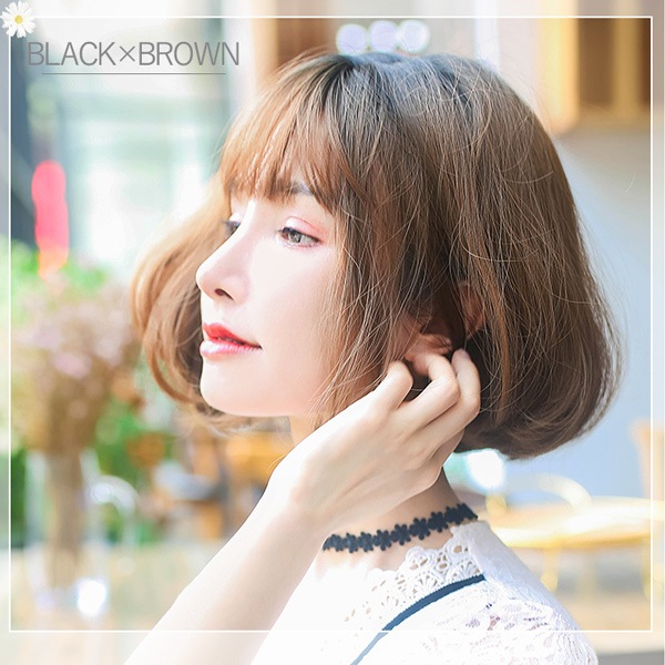 å Tefure (ƥե) ͥܥ ֥åߥ֥饦 DW-3066R Fujitatsu ٻã