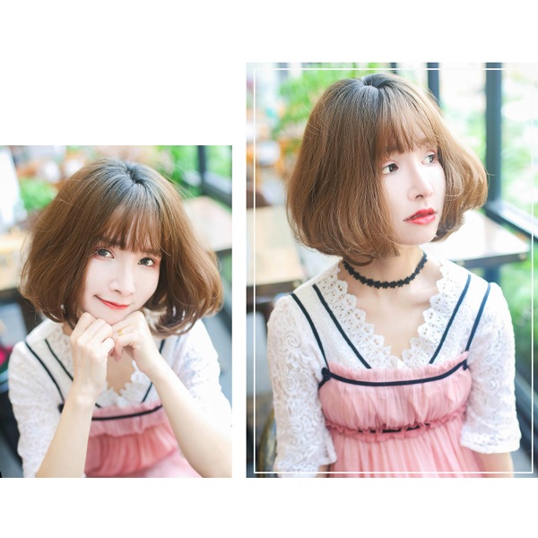 å Tefure (ƥե) ͥܥ ֥åߥ֥饦 DW-3066R Fujitatsu ٻã