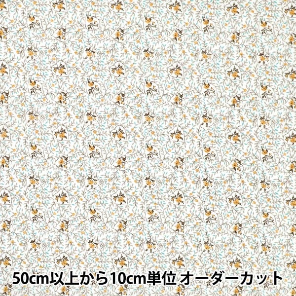 1_000000171572.jpg