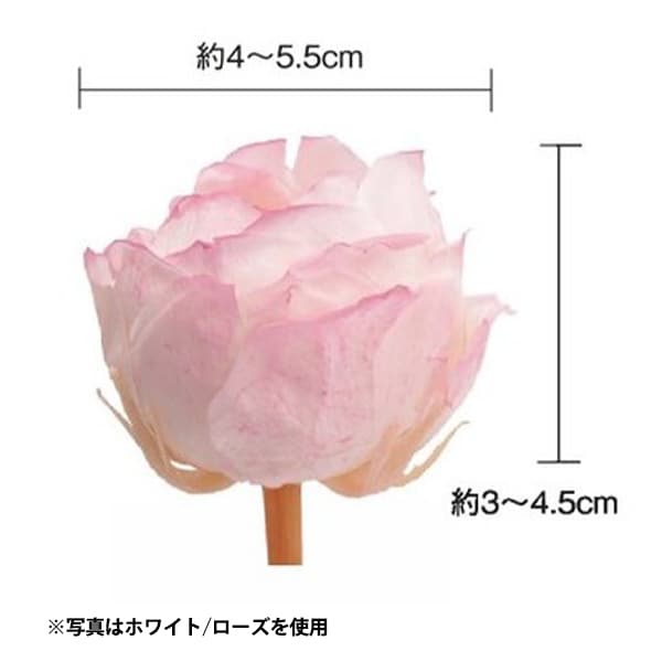 プリザーブドフラワー 『ローズ ピオニー はないろ ライラック