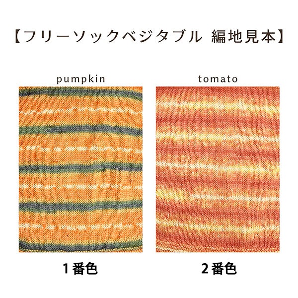 ソックヤーン 毛糸 『抗菌防臭フリーソック ベジタブル 1番色