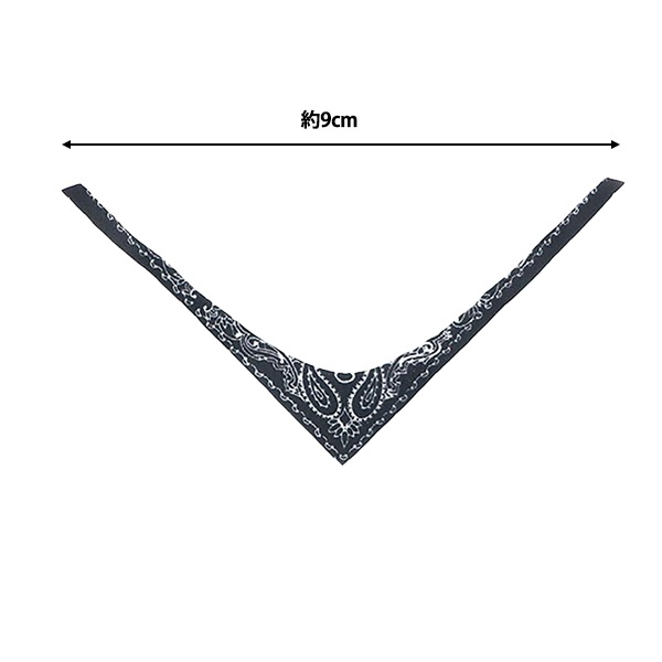 2_000000160573.jpg?1730355435