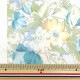 �ڿ���5����� ���� ��80���ƥ� ��������ȥե� ���եۥ磻�ȡߥ֥롼 YUZ-843-3�� munsell �ޥ󥻥륳�쥯����� �ڥ楶�����꾦�ʡ� 