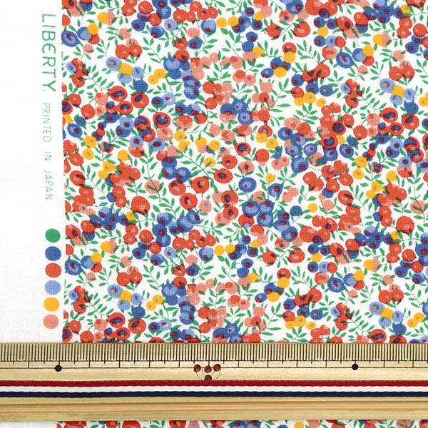 数量5から】 生地 『LIBERTY リバティプリント 60/2天竺