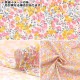 �ڿ���5����� ���� ��LIBERTY ��Хƥ��ץ��� 60/2ŷ�� ������ȥ��㡼�Х� 36300116-EK�� Liberty Japan ��Хƥ�����ѥ�