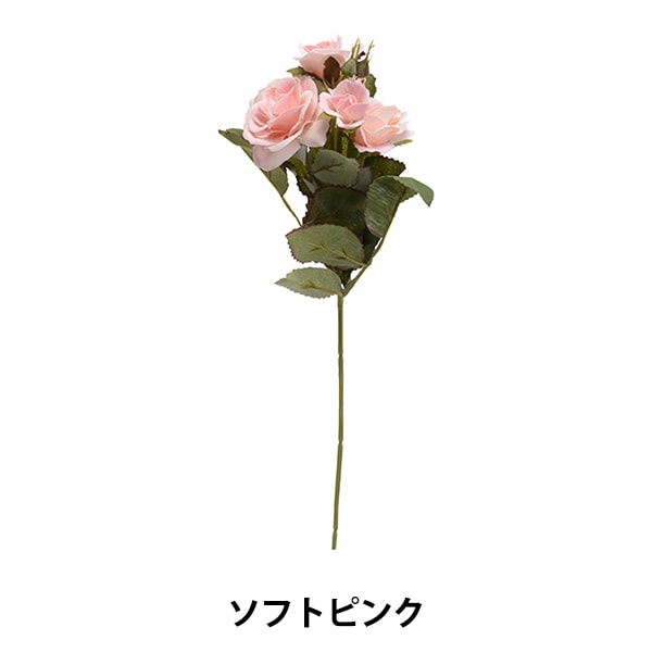 1_000000102074.jpg