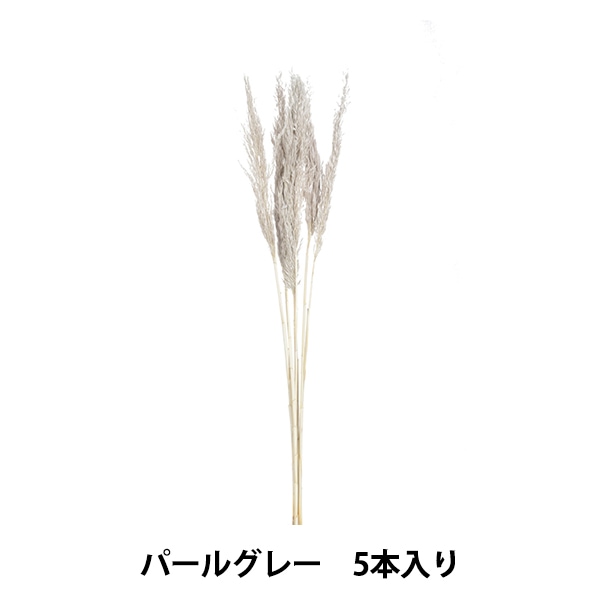 ドライフラワー素材❕スペルト小麦25本(^.^)自然栽培.:*:・'°☆ ドライフラワー 『小麦 N/グリーン 60001』 フラワー,ドライフラワー