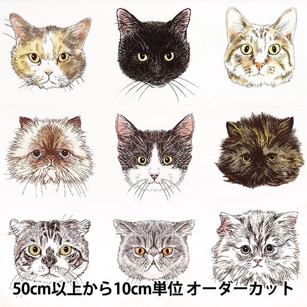 希少　acca　アッカ　ウインク　猫　ヘアスティック　ネコ　ねこ　CAT 希少 acca アッカ ウインク 猫 ヘアスティック ネコ ねこ CAT