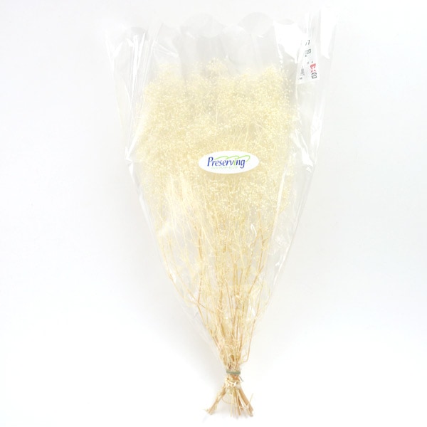 ¤�� ���륯�ե� �إ��եȥ��������