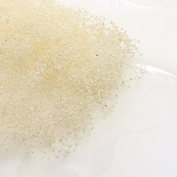 �إ��եȥ�������� 00010-015