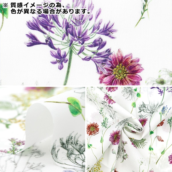 数量5から】 生地 『リバティ・ファブリックス タナローン ポルカ