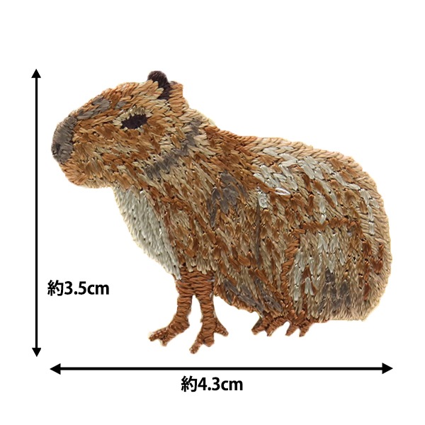 ワッペン 『Who Are You? (フーアーユー?) カピバラ H459-145